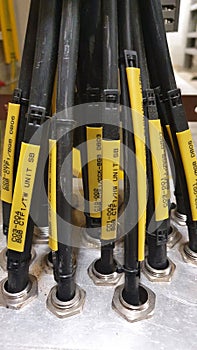 Phot of bundle cable with tags to ensure people can identify the cable