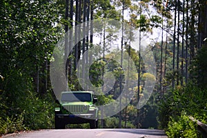 Photo of a 2020 2021 Jeep Wrangler green front view