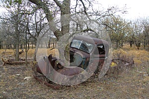 Photo of an abandoned, rusty old truck sitting in the weeds with a tree growing out of the front. Stock photo image.