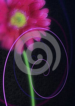 Photo of Abstract Art of Pink Gerbera Daisy