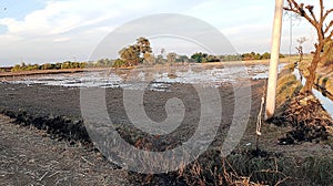 Photo of agriculture feald