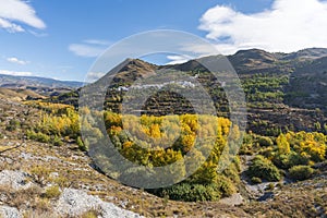 Photo of the Alcolea River as it passes through Lucainena photo