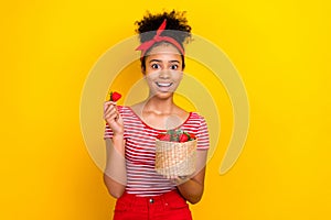 Photo of amazed positive small schoolkid toothy smile hand hold fresh strawberry basket isolated on yellow color