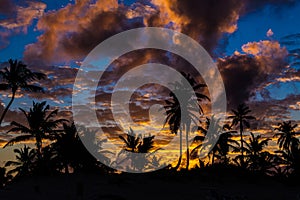 Amazing view of Caribbean beach with white sand and beautiful exotic palm trees, Dominican Republic, Caribbean Islands