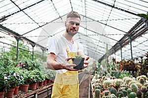 Photo of attractive bearded greenhouse worker showing a plant in a vase