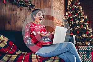 Photo of attractive young woman sit sofa netbook video recording dressed red sweater christmas room interior design tree