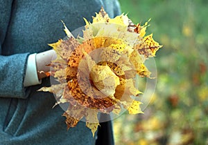 Photo autumn bouquet of maple yellow leaves in the hands of a girl