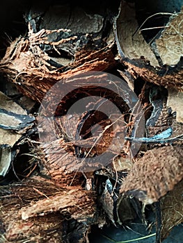 Photo background and image of coconut shell photo