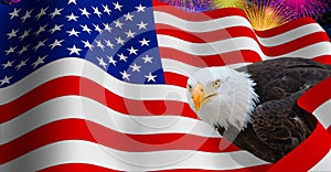 Photo of a bald eagle seen in profile on a 3D illustration of the USA flag over a night sky