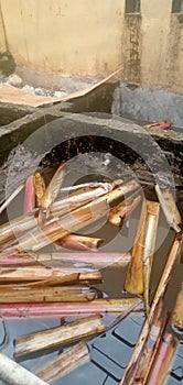 A photo of banana stems being soaked in fish pond water to neutralize the water content