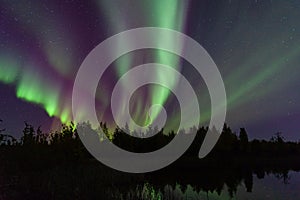 Photo of a beautiful aurora borealis near Yellowknife, Canada in the Northwest Territories