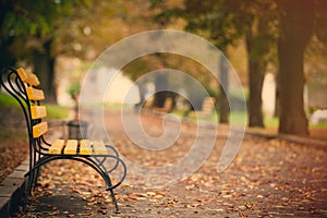 Photo of beautiful autumn park full of benches and folliage in w photo