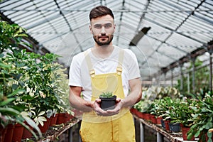 Photo of beautiful bearded greenhouse worker holding the vase in hands