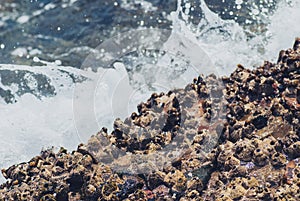 Photo of beautiful clear sea ocean water surface with ripples and bright splash on seascape background