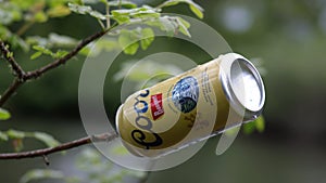 An aluminum can left on a tree next to the pond