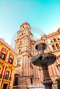 Malaga Cathedral photo