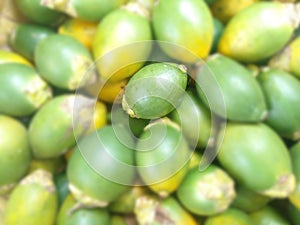 photo of betel nut as a complement to the traditional rituals of the Timorese tribe, Indonesiaï¿¼