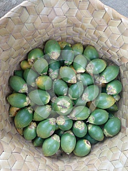 Photo of betel nut, one of the complements to the traditional Timorese ritual in Malacca, Indonesia