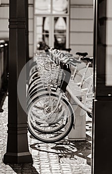 Photo of bicycles on parking places