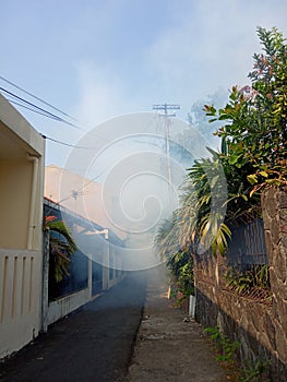 Photo Big and Contrentated Smoke fogging by to kill dengue / aedes aegypti mosquito using blowing machine with sun flare