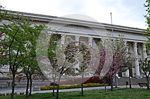 Photo with blooming with in red, pink and white colors of a Japanese cherry tree