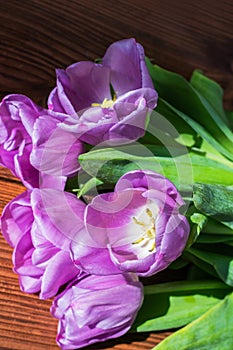 Photo of a bouquet of tulips with lilac petals lies on a wooden table, illuminated by the light of the morning sun