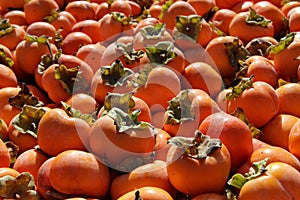 Photo of box of ripe persimmon