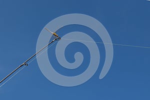 Photo of the brown dragonfly Odonata Fabricius, sitting on the tip of a fishing rod against limitless blue sky