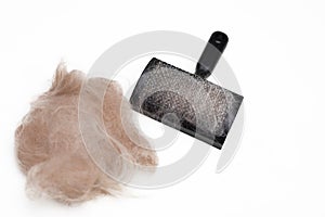 Photo of Brush for combing dogs and a pile of wool on a whitw background. The long coat of a red dog. Grooming services