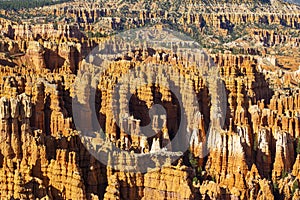 Photo of Bryce Canyon Rock Formation.