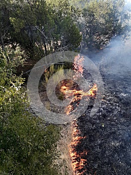 Photo of burning grass - Parmer Lane brush fire