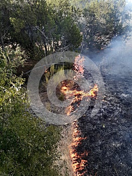 Photo of burning grass - Parmer Lane brush fire photo