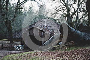 Photo of a California Native American Ceremonial Roundhouse with a big felled tree  an the side