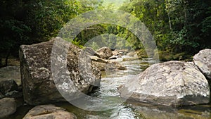 photo captured with selective focus of part of a river bank  Lumiar city â€‹â€‹of Nova Friburgo  Rio de Janeiro