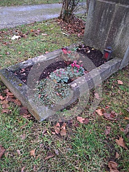 A cementry in autumn photo