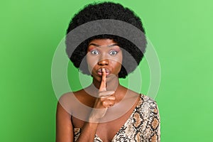 Photo of charming serious dark skin lady wear print costume finger lips asking not tell secrets isolated green color