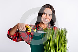 Photo of cheerful beautiful young woman trim grass farmer plant care isolated on grey color background