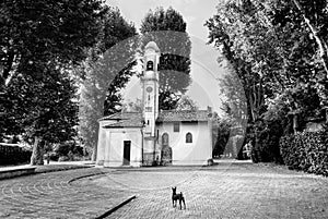 A photo church in Italia with dog