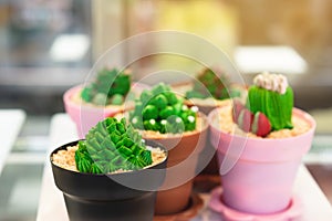 Photo through clear glass to cactus cupcakes for sale in cafe. Cupcakes decorated in the shape of a green cactus in pot. Gourmet