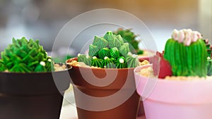 Photo through clear glass to cactus cupcakes for sale in cafe. Cupcakes decorated in the shape of a green cactus in pot. Gourmet