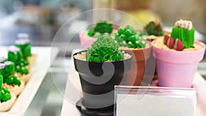 Photo through clear glass to cactus cupcakes for sale in cafe. Cupcakes decorated in the shape of a green cactus in pot. Gourmet