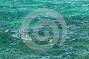 Photo closeup of beautiful clear turquoise sea ocean water surface with ripples low waves on seascape background