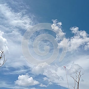 a photo of clouds and a clear sky coupled with dry tree trunks