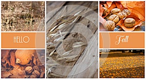 Photo collage, autumn, dry colorful leaves, orange, yellow, pumpkin, walnuts, oats, straw, meadow, park, city, countryside, sticke
