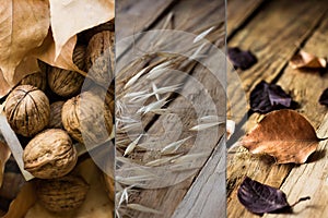 Photo collage autumn fall, dry brown red orange leaves, walnuts, plants on weathered wood background, tranquil