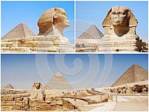Photo Collage of the Great Sphinx in Giza. Cairo. Egypt photo