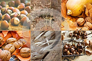 Photo collage six square images autumn, fall, hazelnuts, walnuts, dry colorful leaves, chestnuts in wicker basket, pumpkin