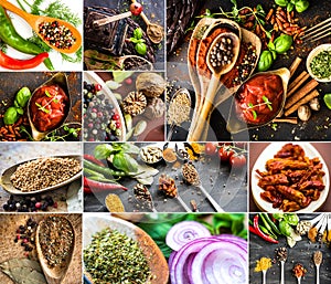 Photo collage of various spices