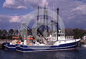 Colorful Commercial Fishing Boats in Ocean City