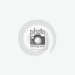 Photo coming soon icon sticker isolated on gray background